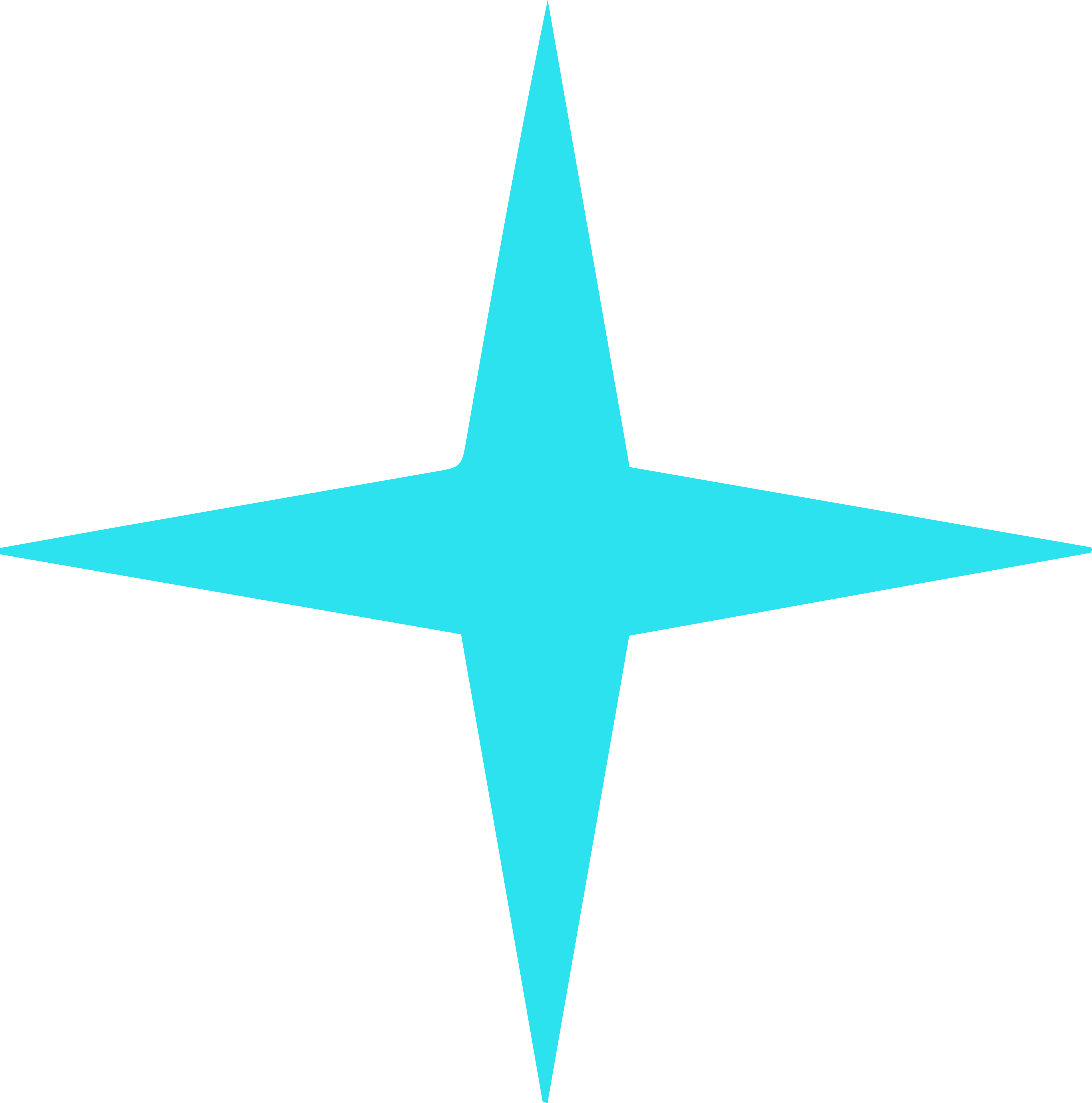 Stern 4