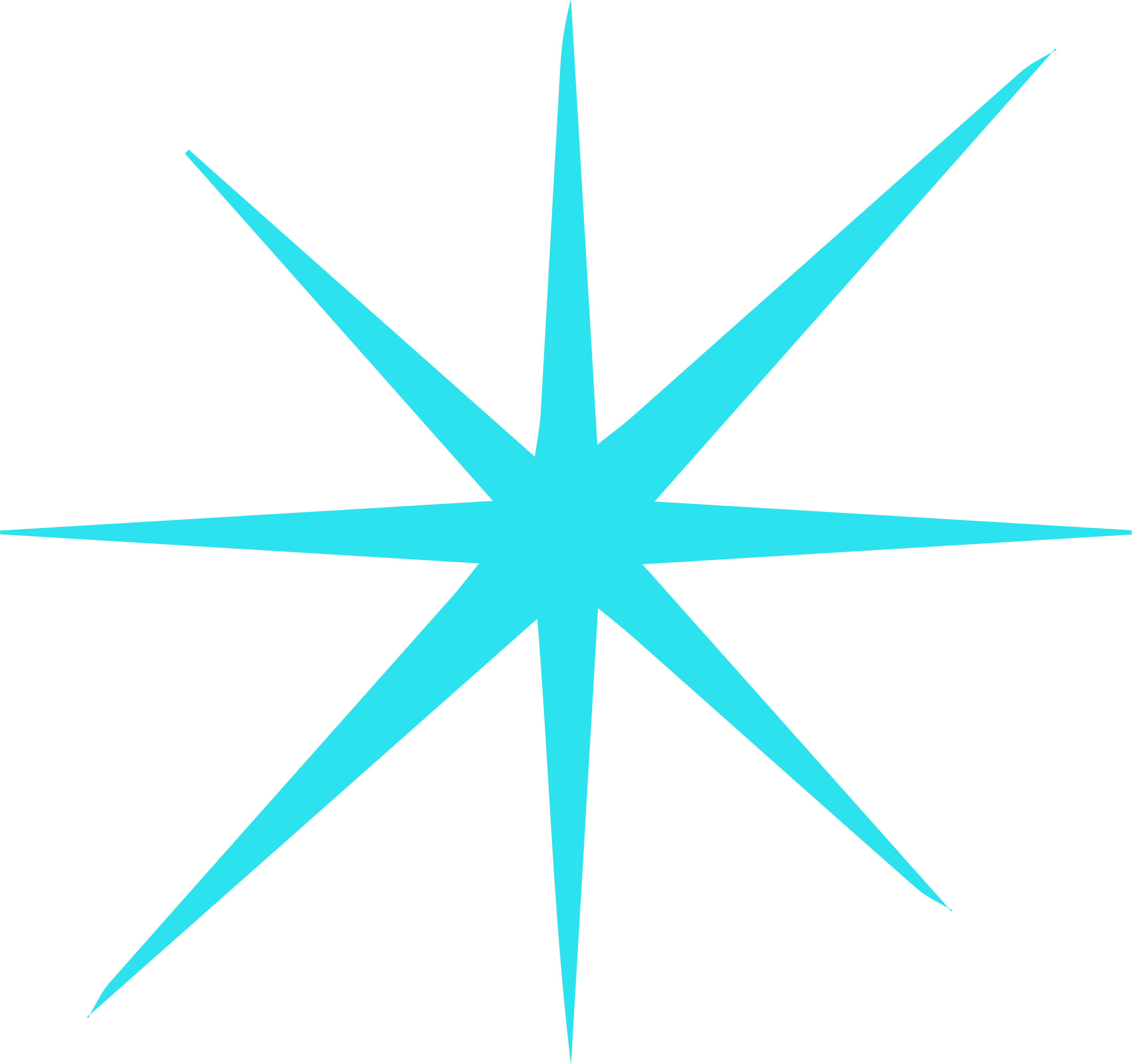 Stern 6