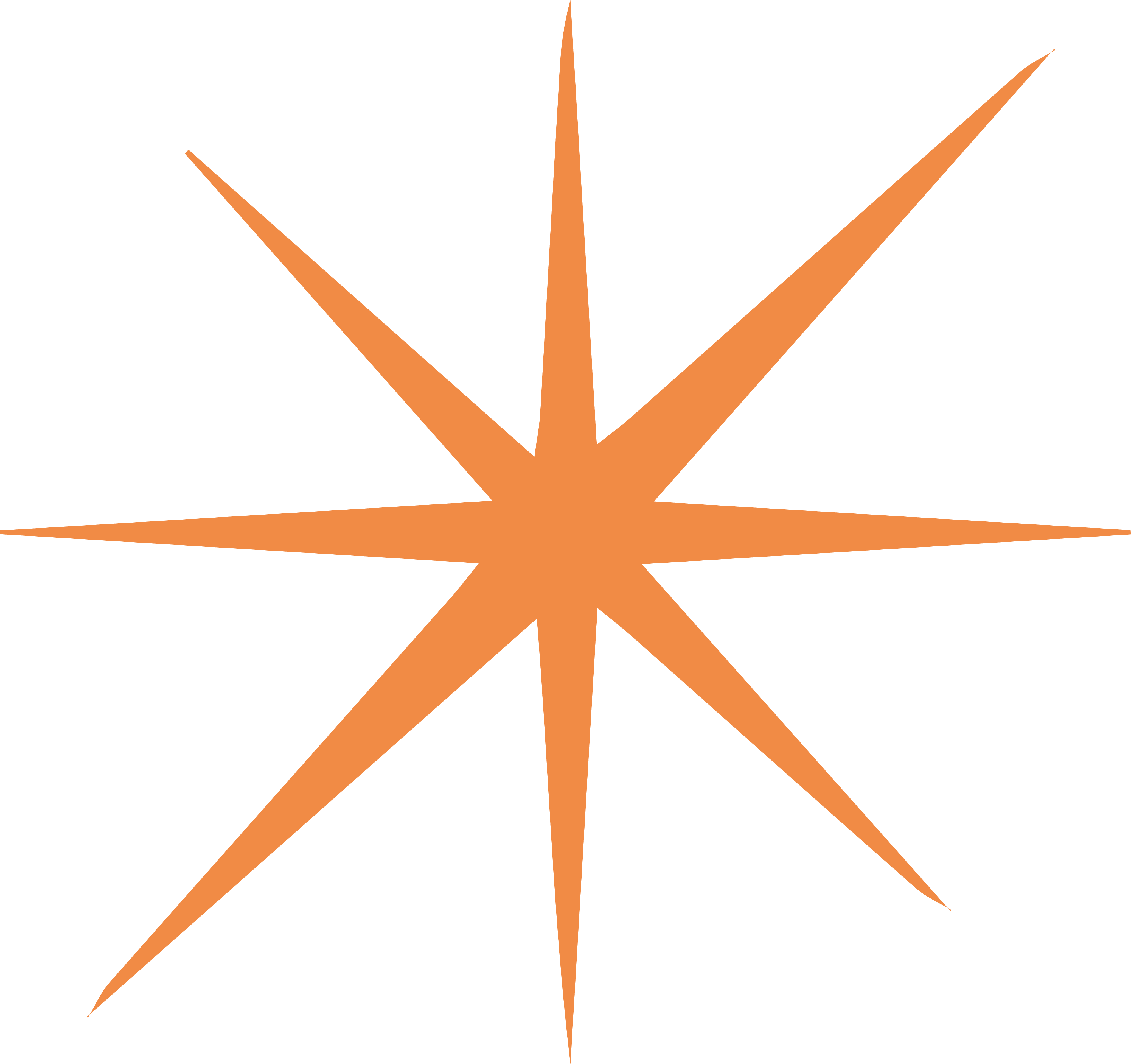 Stern 5
